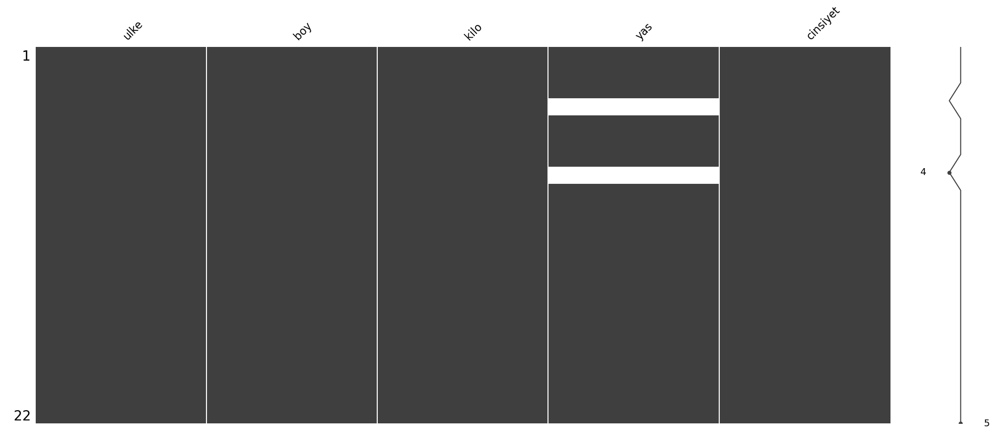 Eksik verileri grafik üzerinde görme, missingno