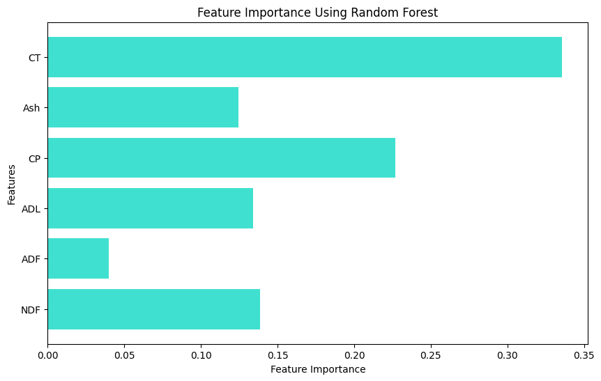 Feature Importance