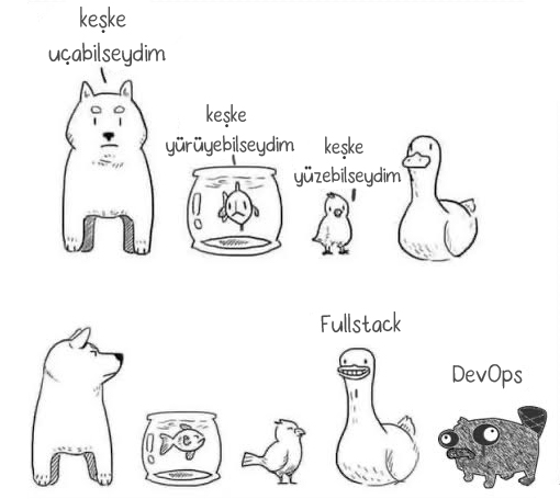 Full-stack developer