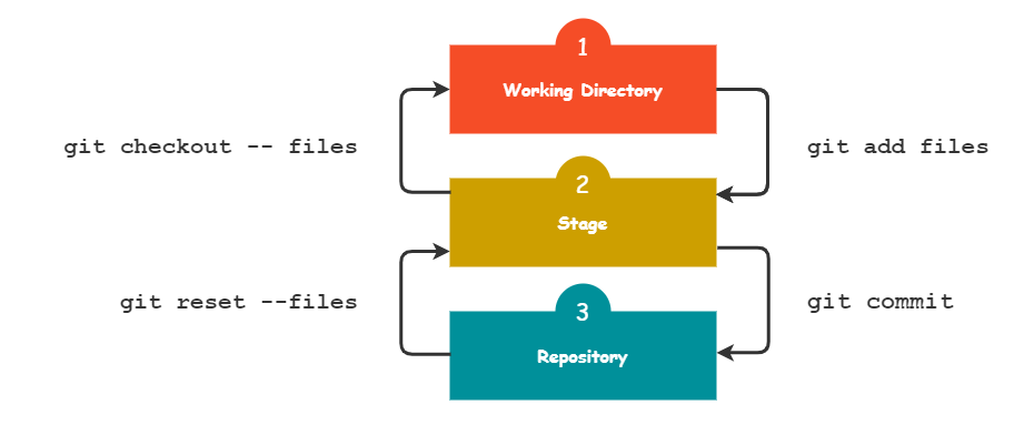 Git Workflow