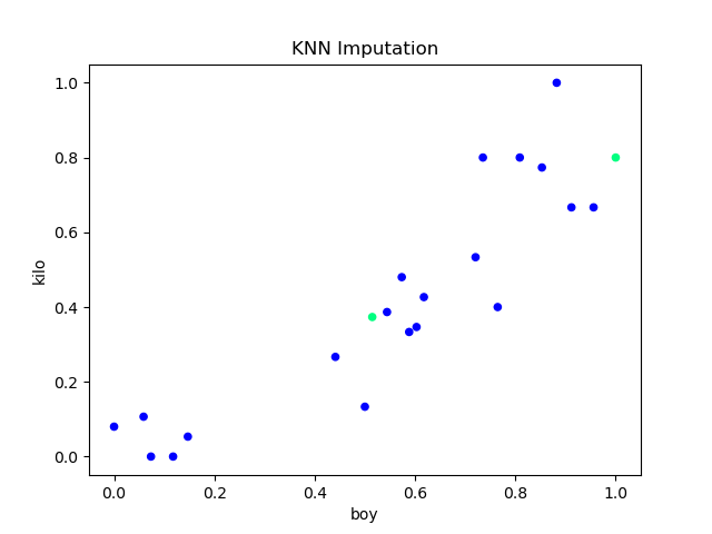 KNN Imputer