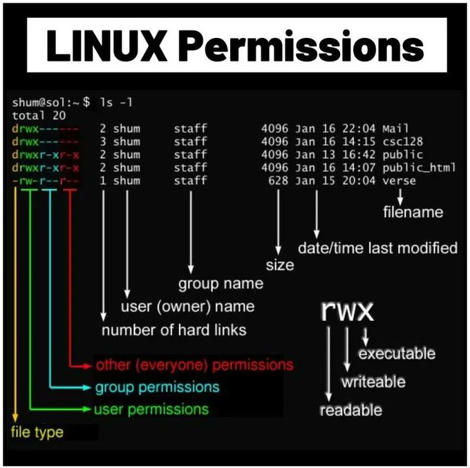 Linux Permission
