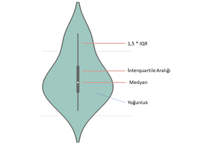 Violin Plot
